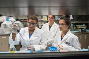 three dental students working in a lab setting